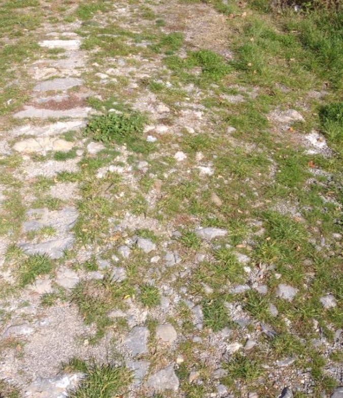 Римски път Сердика - Пауталия (снимка село Долни Раковец)